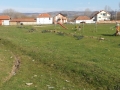 20140316_143833